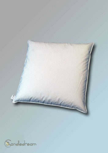 Cm pillow insert - cm,
