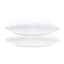 Cushion Insert Pads Inner